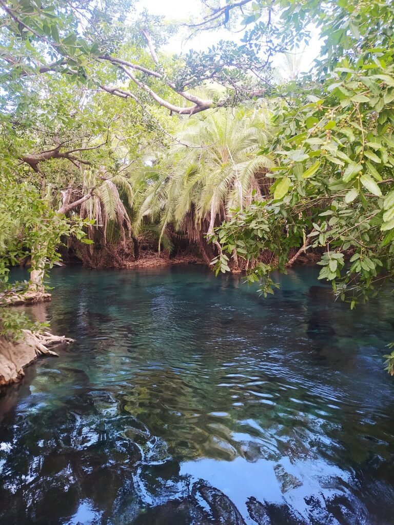 Chemka hot springs