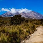 Safari Luggage Guide: Packing Rules for Tanzania Travel
